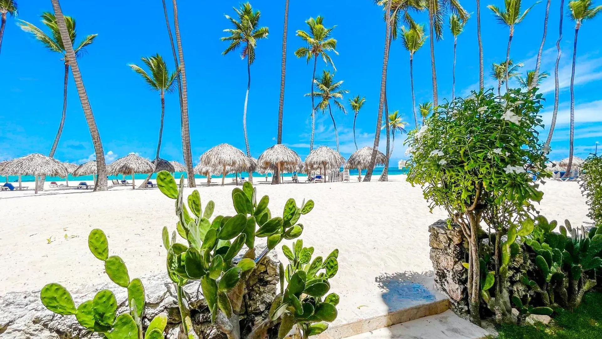 *****  Resort Tropical Villas Beach Club And Spa Bavaro Beach With Wifi Parking Bbq Punta Cana Dominican Republic